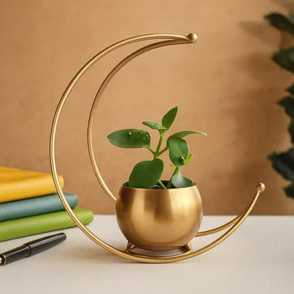 FL Rustic Moon Planter