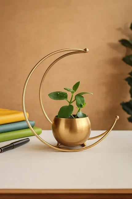 FL Rustic Moon Planter